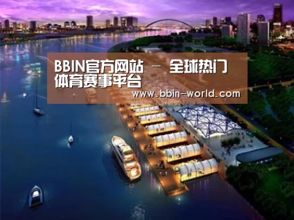 案例展示八