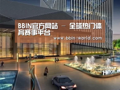 案例展示二