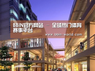 案例展示一