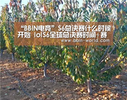 “BBIN电竞”S6总决赛什么时候开始 lolS6全球总决赛时间+赛程一览(图1) BBIN篮球