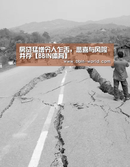 房贷猛增令人乍舌,悲喜与风险并存【BBIN体育】(图2) BBIN体育