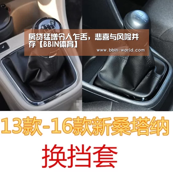 房贷猛增令人乍舌,悲喜与风险并存【BBIN体育】(图3) BBIN电竞