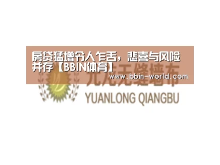 房贷猛增令人乍舌,悲喜与风险并存【BBIN体育】(图1) BBIN篮球