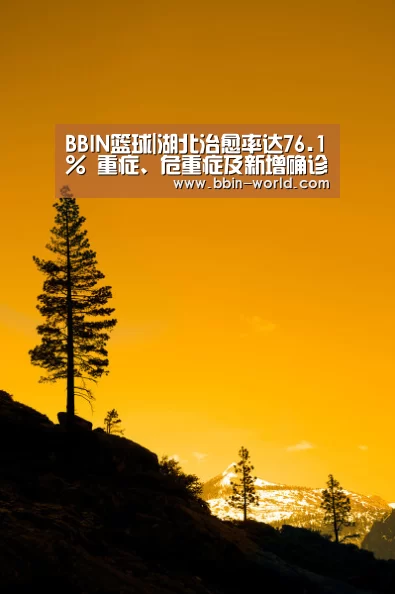 BBIN足球